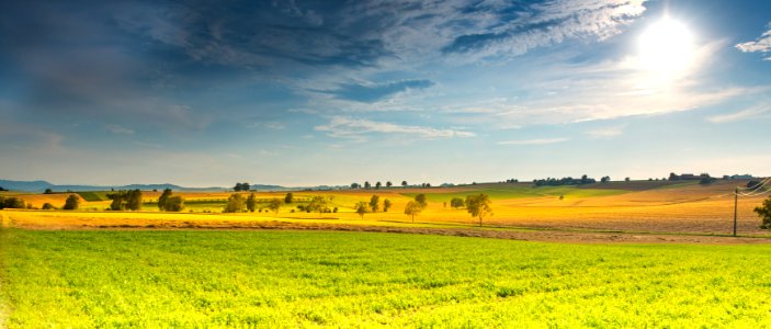 Sky Grassland Field Yellow photo