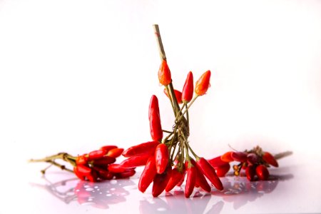 Chili Pepper Bell Peppers And Chili Peppers Flower Birds Eye Chili