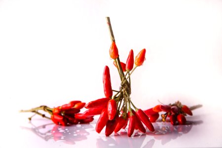 Chili Pepper Bell Peppers And Chili Peppers Flower Birds Eye Chili photo