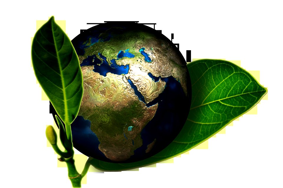 Globe Earth World Planet