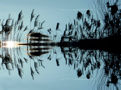 Reflection Water Tree Sky photo