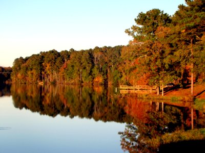 Reflection Nature Water Leaf photo