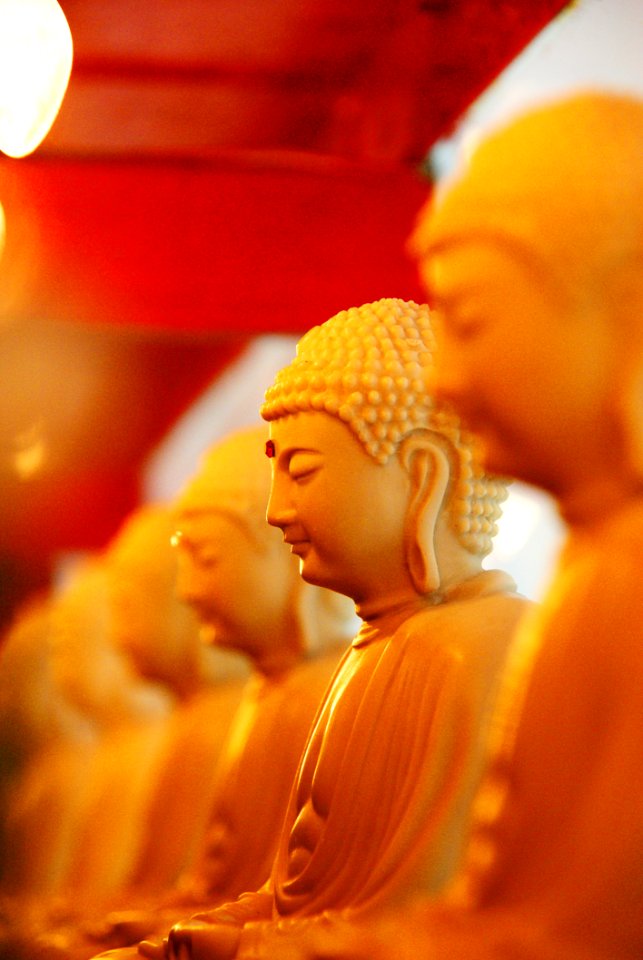 Yellow Gautama Buddha Orange Close Up