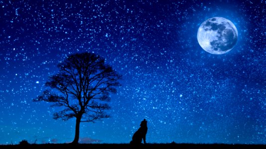 Sky Nature Moon Atmosphere