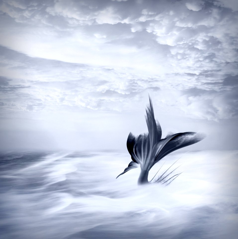 Sky Black And White Water Calm