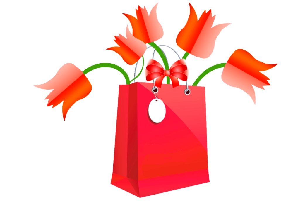 Flower Orange Flowering Plant Plant