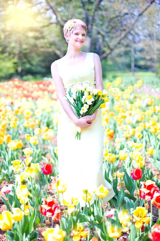 Flower Flowering Plant Yellow Spring