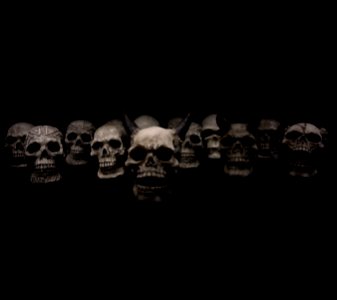 Bone Black And White Skull Darkness photo