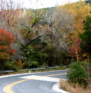 A Curve In The Road