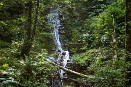 Bridge Creek Falls Oregon photo