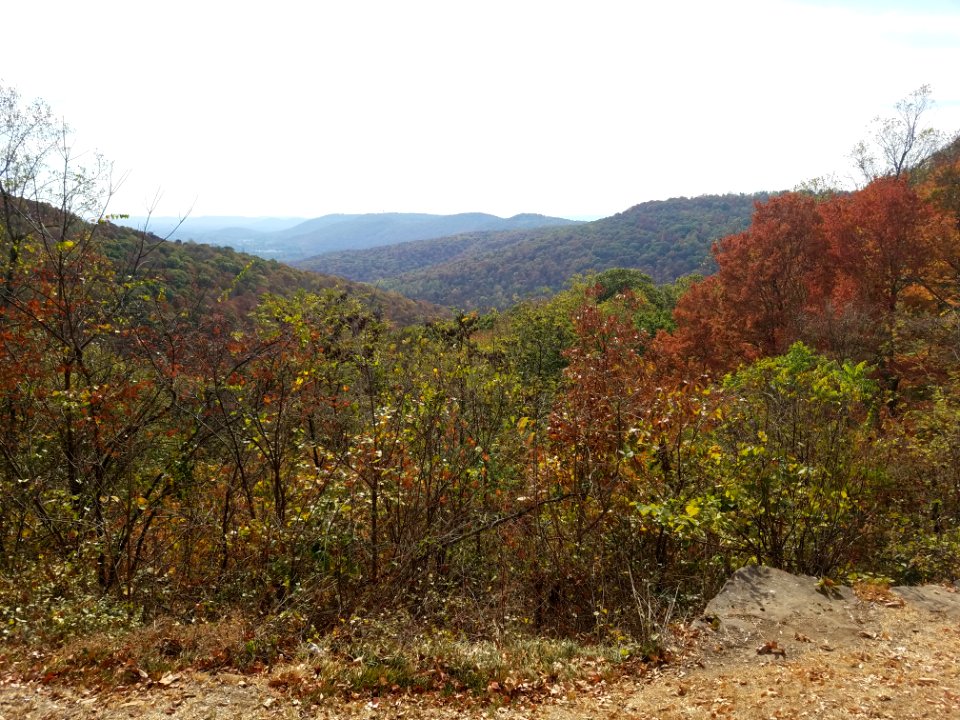 View From Monte Sano