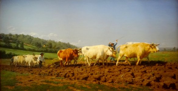 Labourage Nivernais Sit Aussi Le Sombrage Rosa Bonheur 1849