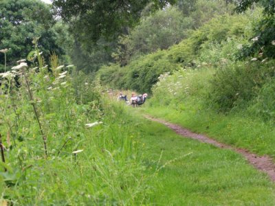 Wildlife Friendly Towpath