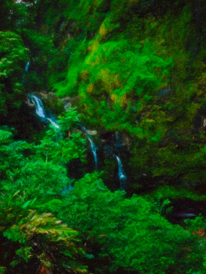 Waterfall On The Way To Hana