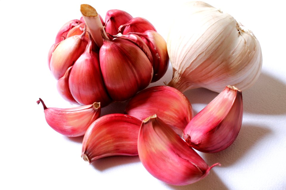 Garlic Vegetable Shallot Onion