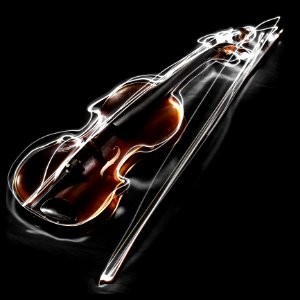 Violin Violin Family Musical Instrument String Instrument photo