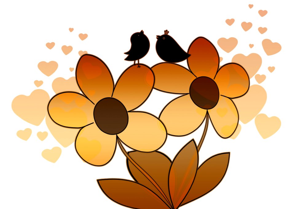 Flower Leaf Petal Flora