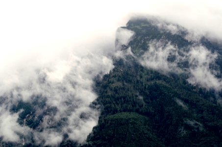 Fog Forest Mountains