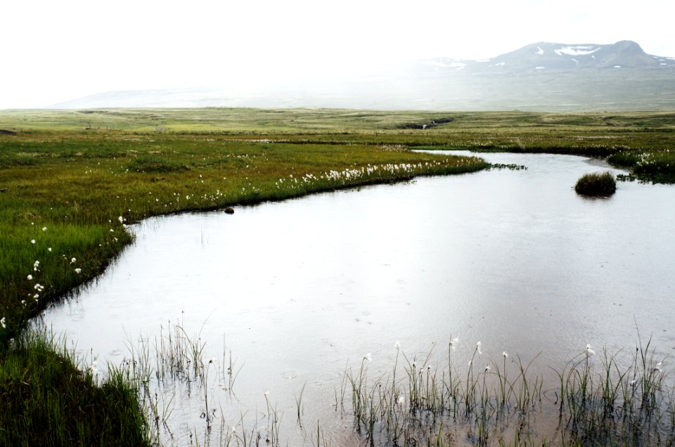 Ponds Mountains Landscapes