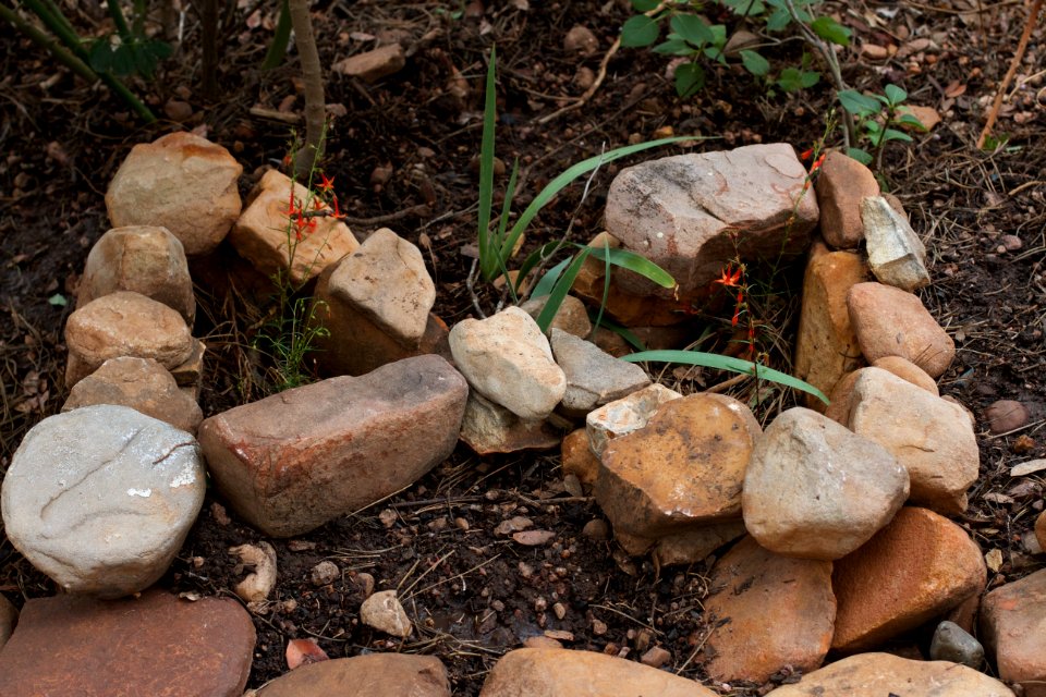 Butterfly Garden For Mom