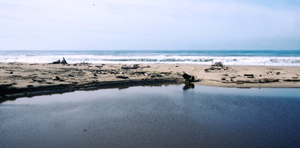 Beach Ocean Waves Sea photo