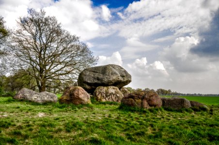 Dolmen With Old Tree photo