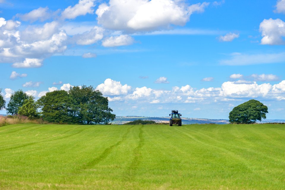 Tractor In Large Green Field