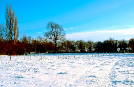 Farm Field Covered In Snow