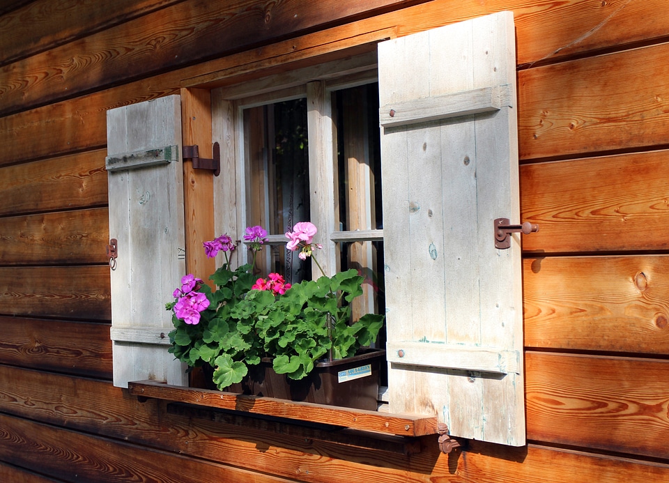 House jewelry flower box window flower photo