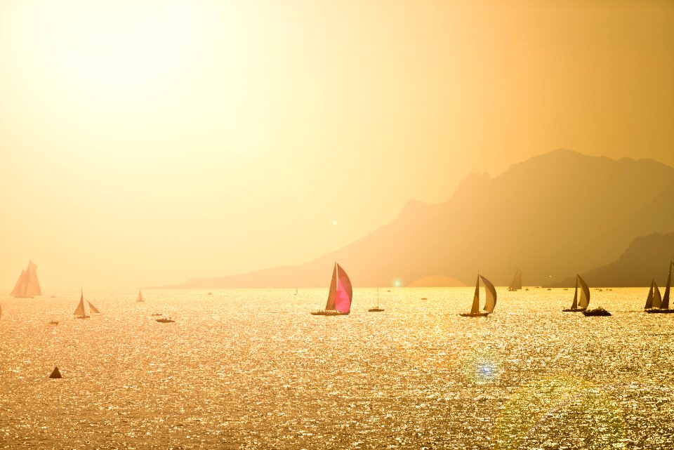 Many Sailing Boats At Sunset With Montain