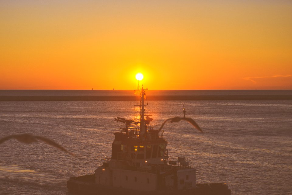 Boat In Port At Sunset With Birds