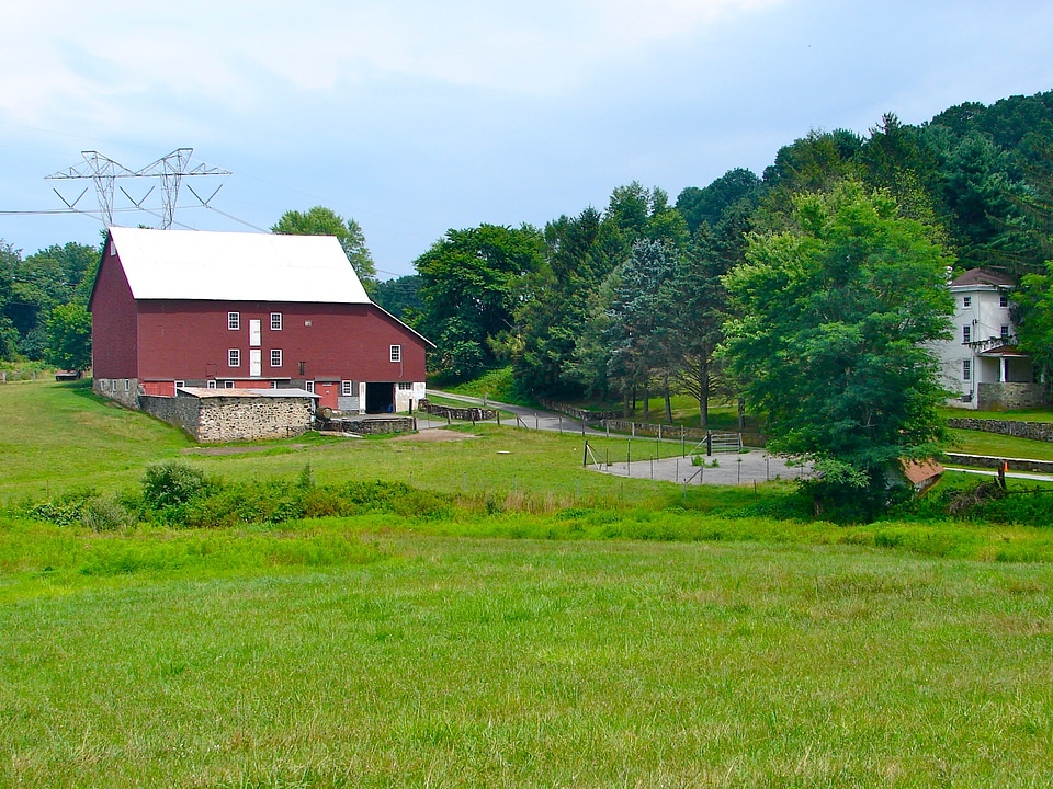 Rural trees barn