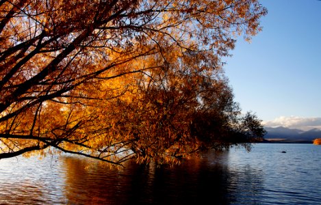 Autumn At Lake Tekapo NZ (19)