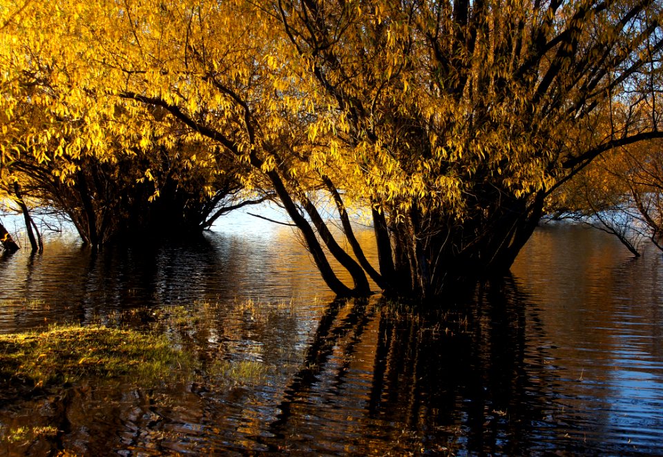 Autumn At Lake Tekapo NZ (25)