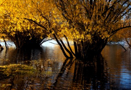 Autumn At Lake Tekapo NZ (25)
