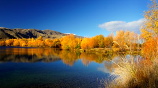 Golden Season (11)