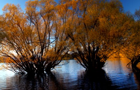 Autumn At Lake Tekapo NZ (1)