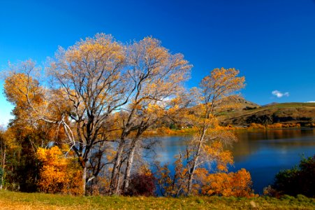 Golden Season (6)