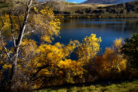 Golden Season (5)