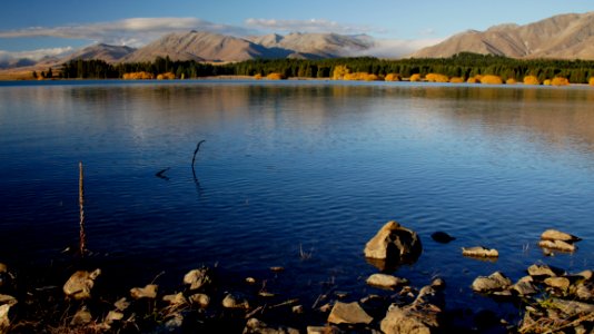 Autumn At Lake Tekapo NZ (8)