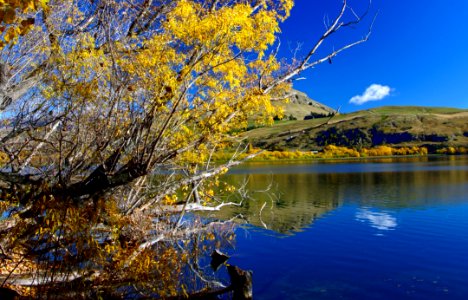 Golden Season (2)