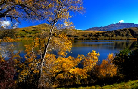 Golden Season (4)