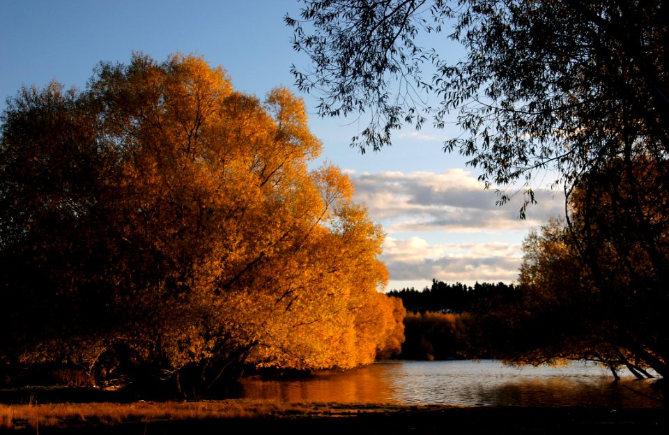 Autumn At Lake Tekapo NZ (26)