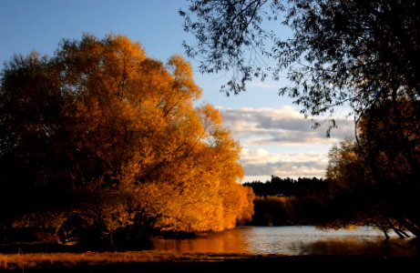 Autumn At Lake Tekapo NZ (26)