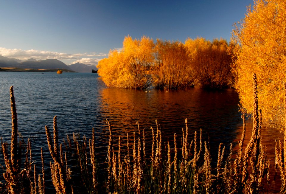 Autumn At Lake Tekapo NZ (14)