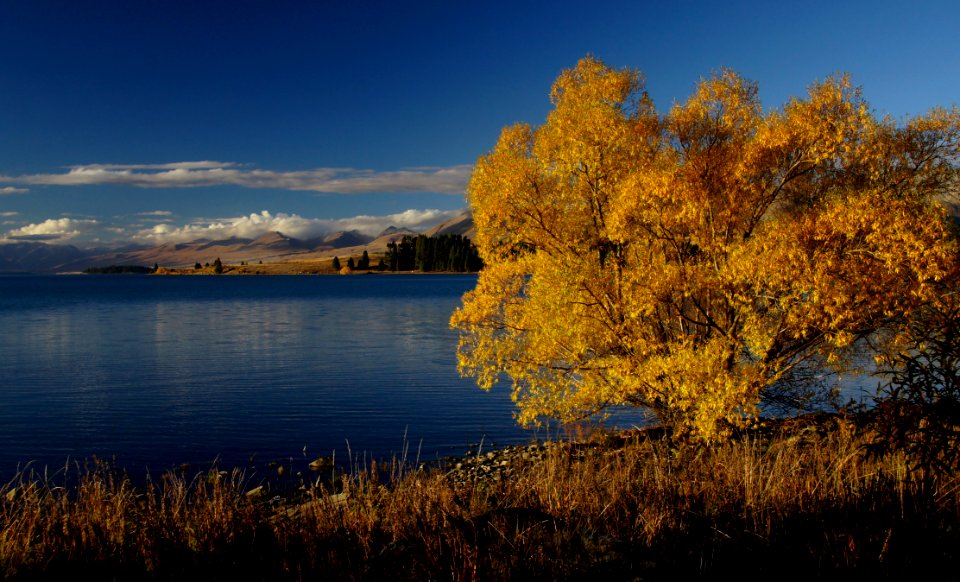 Autumn At Lake Tekapo NZ (10)