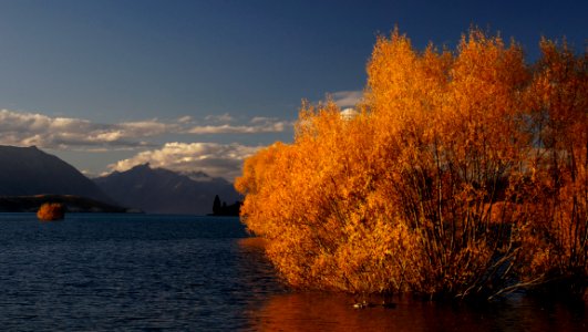 Autumn At Lake Tekapo NZ
