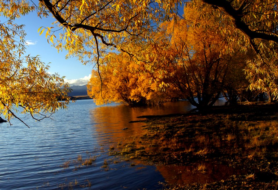 Autumn At Lake Tekapo NZ (22)