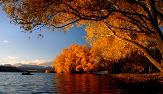 Autumn At Lake Tekapo NZ (20)