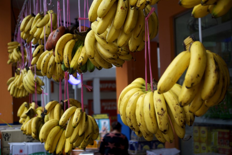 DSC9929 Bananas Wholesale